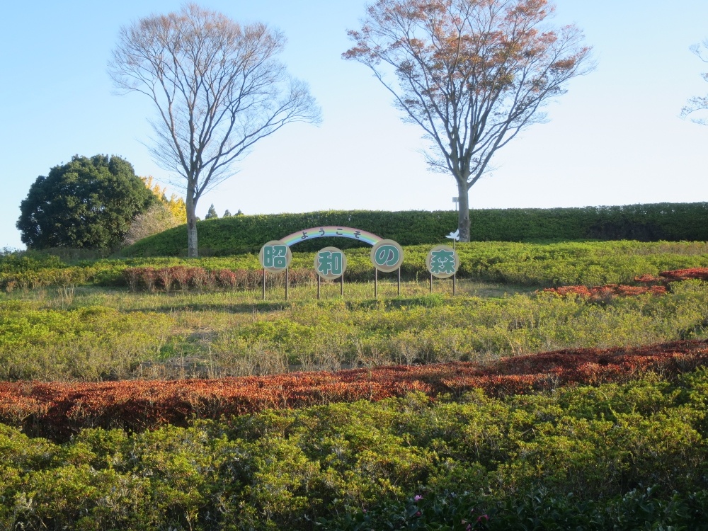 公園　昭和の森（公園）まで369m