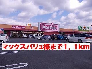 スーパー　マックスバリュ様（スーパー）まで1100m