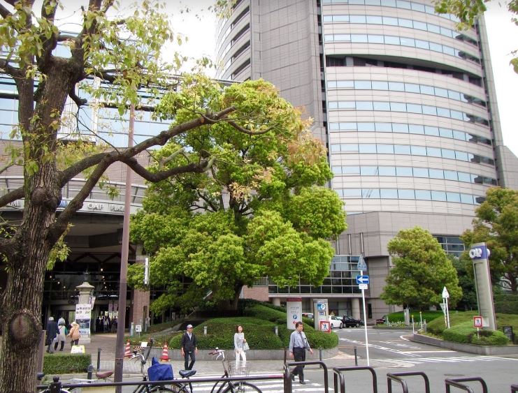 公園　東天満公園（公園）まで453m