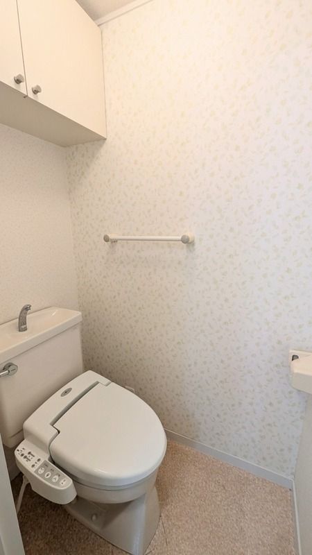 トイレ　トイレも気になるポイント