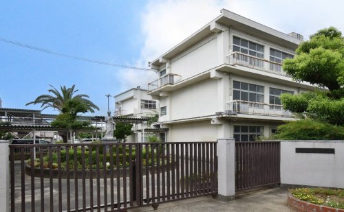 小学校　富田林市立新堂小学校（小学校）まで272m