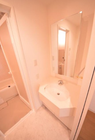 洗面設備　※リノベ前