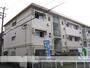 鳴尾・武庫川女子大前駅より徒歩16分 2階 築52年3ヶ月の賃貸物件