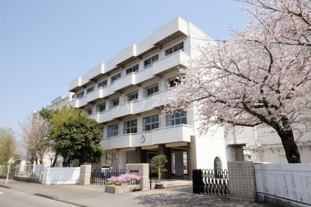 小学校　沼津市立開北小学校（小学校）まで1004m