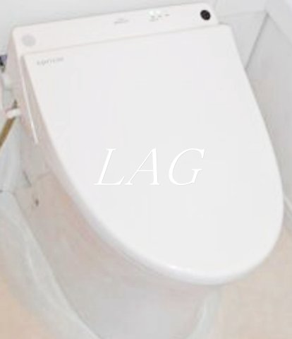 トイレ　トイレです。（同仕様です。）