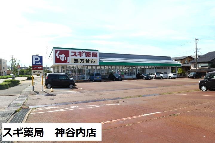 ドラックストア　スギ薬局神谷内店（ドラッグストア）まで741m