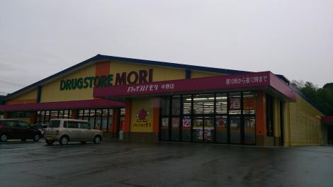 ドラックストア　DRUG STORE MORI(ドラッグストアモリ) 中原店（ドラッグストア）まで1856m