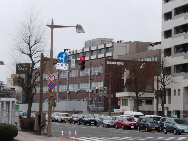 大学・短大　新潟大学 旭町キャンパス（大学・短大）まで617m