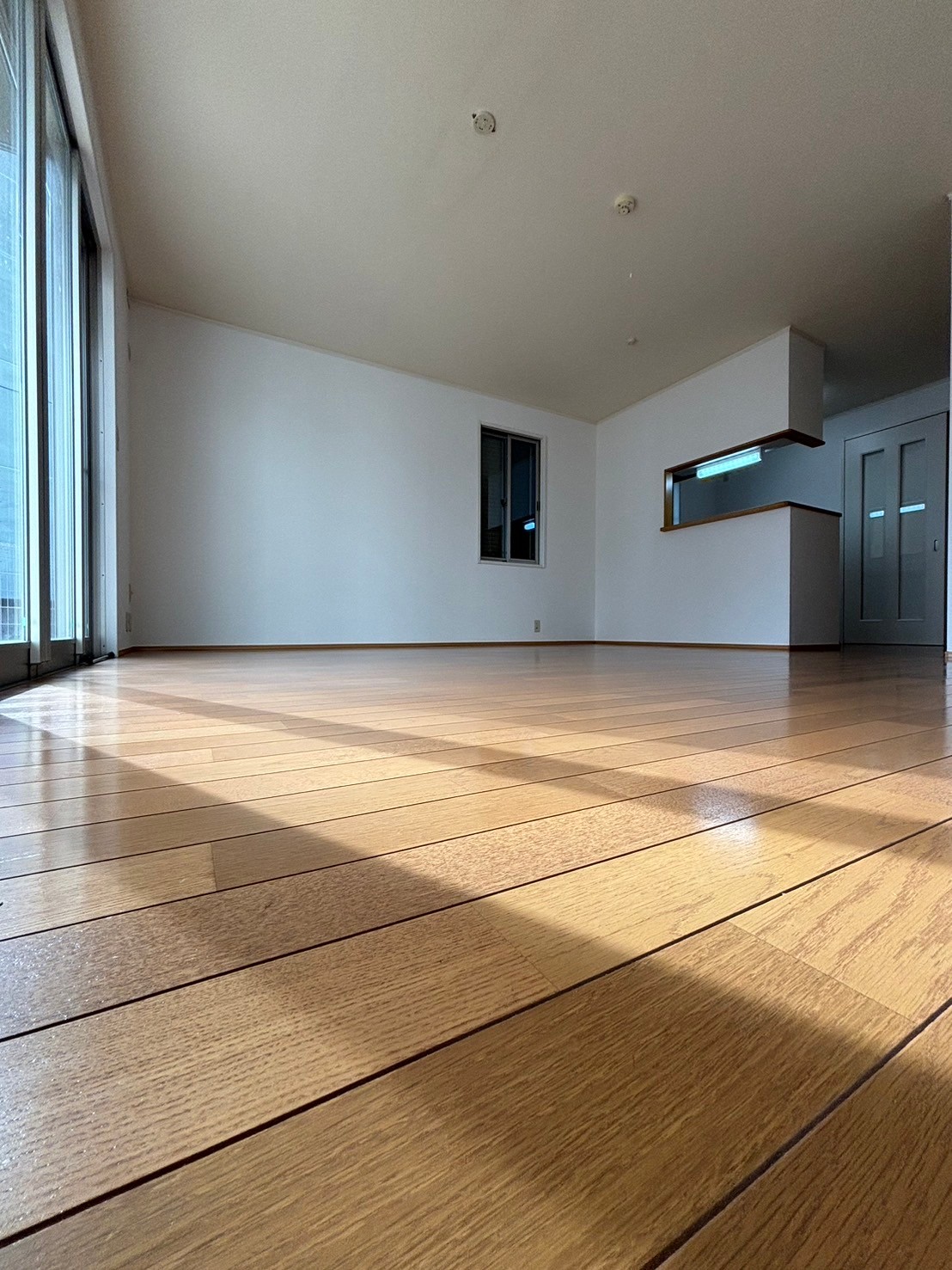 居室・リビング　南向き・カウンターキッチン