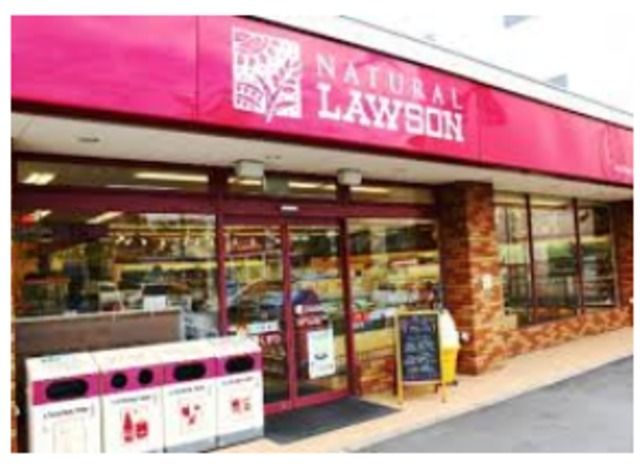 コンビニ　ナチュラルローソン八雲三丁目店（コンビニ）まで691m