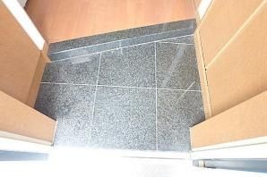 玄関　別タイプ参考写真　ドルチェロイヤルステージ新大塚　豊島区南大