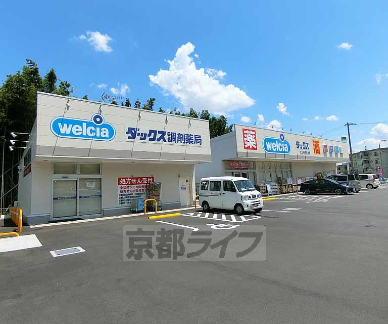 ドラックストア　ダックス大山崎円明寺店（ドラッグストア）まで600m