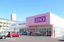 ドラックストア　ディスカウントドラッグコスモス 大江店（ドラッグストア）まで606m