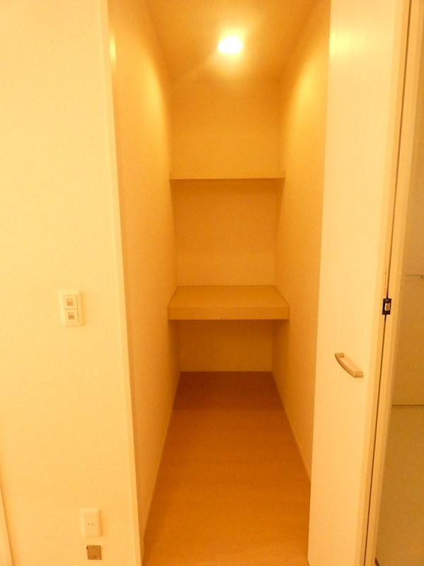 収納　※反転タイプの部屋の写真です