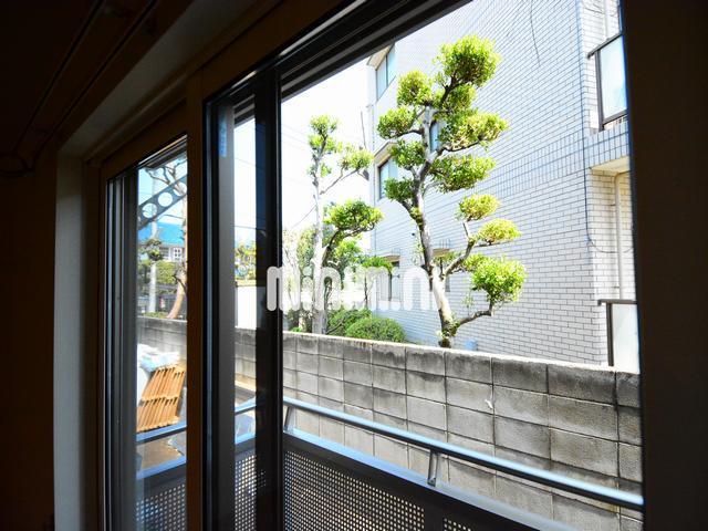 眺望　１階からの景色