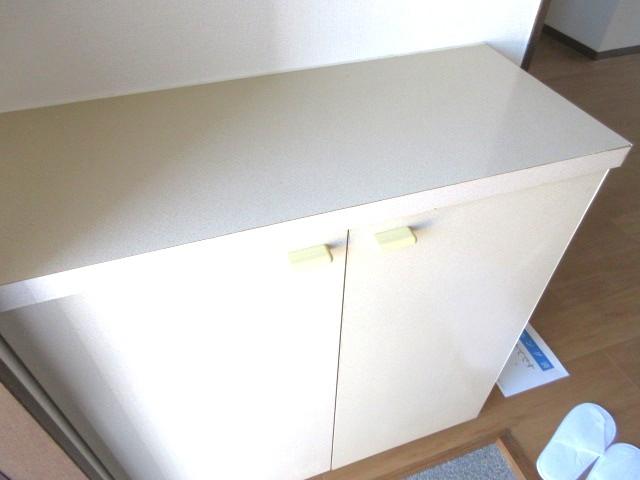 玄関　下駄箱