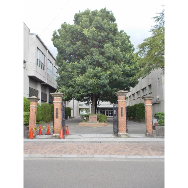 小学校　加納小学校　　０８（小学校）まで750m