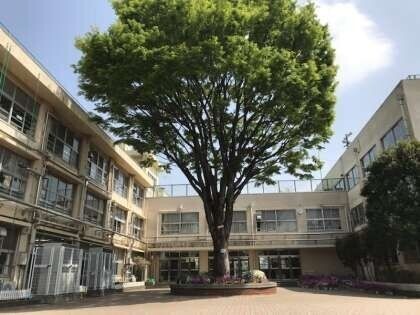 小学校　練馬区立田柄小学校（小学校）まで502m
