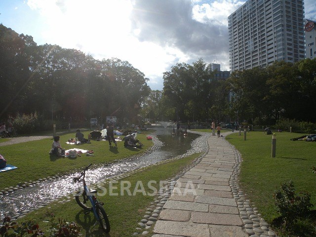 公園　靭公園（公園）まで200m