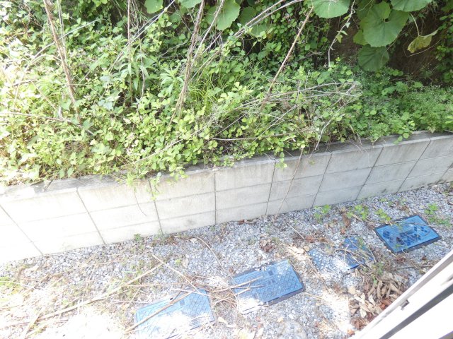庭