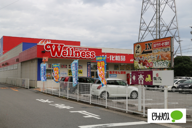 ドラックストア　ドラッグストアウェルネス東津田店（ドラッグストア）まで574m