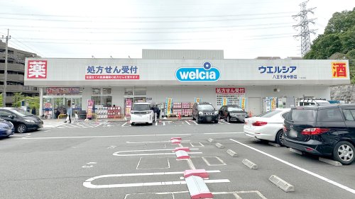 ドラックストア　ウエルシア八王子東中野店（ドラッグストア）まで1228m