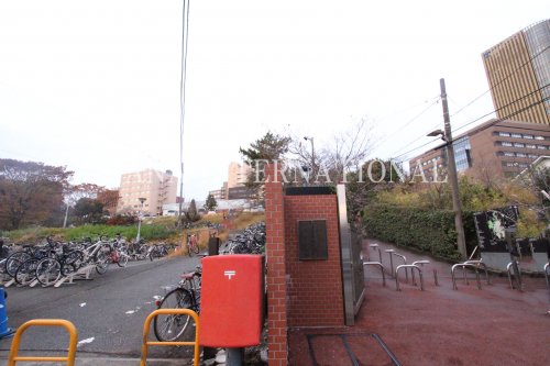 大学・短大　帝京大学八王子校舎 心理臨床センター（大学・短大）まで1287m
