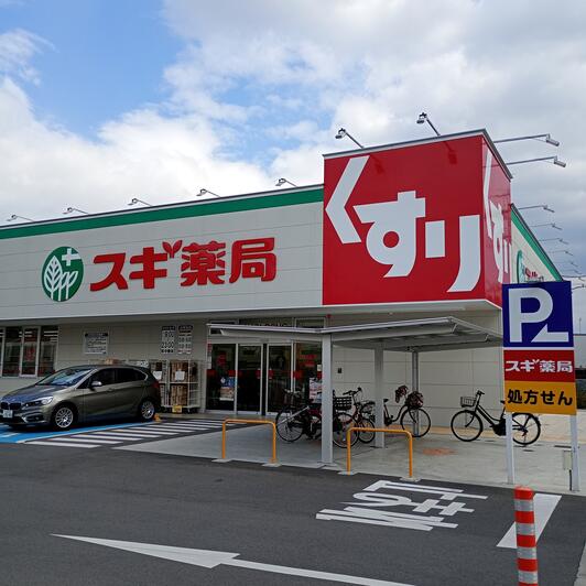 ドラックストア　スギ薬局 渋川南店（ドラッグストア）まで1072m