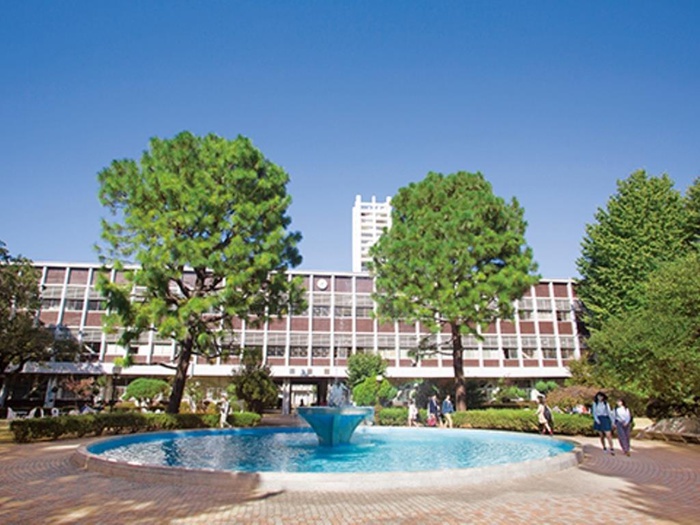 大学・短大　武蔵野大学（大学・短大）まで540m