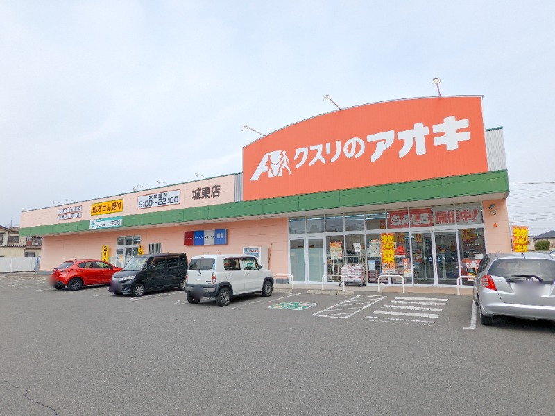 ドラックストア　クスリのアオキ城東店（ドラッグストア）まで255m