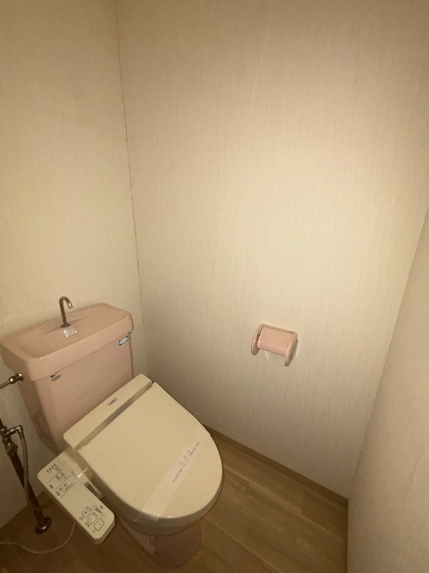 メゾン ルミネスのトイレ写真