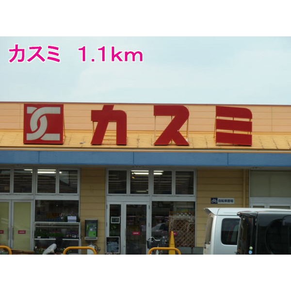 その他　カスミ（その他）まで1100m