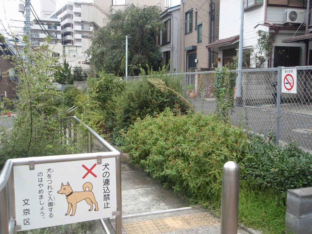 公園　小石川三丁目緑地（公園）まで579m
