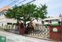 幼稚園・保育園　聖いずみ幼稚園（幼稚園・保育園）まで452m