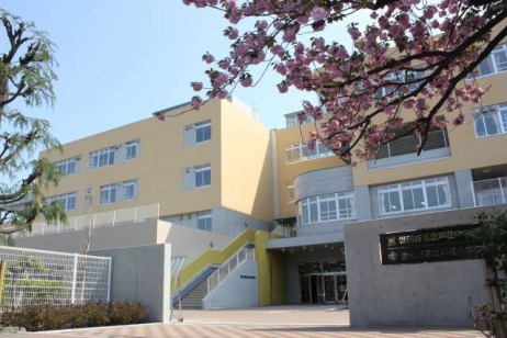 小学校　世田谷区立芦花小学校（小学校）まで556m