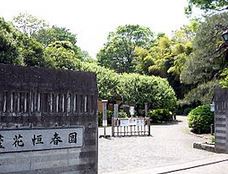 公園　都立蘆花恒春園（公園）まで360m