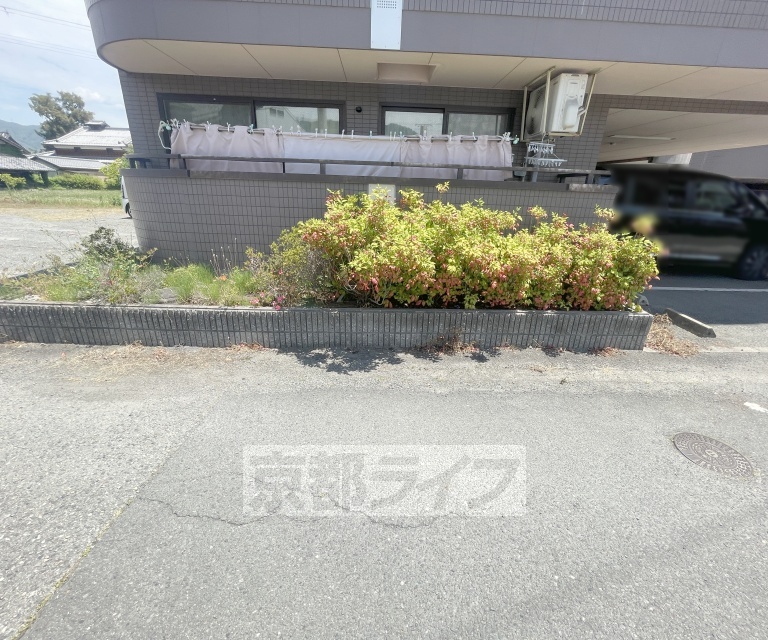 庭