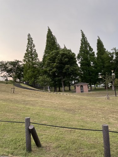 公園　笠寺公園（公園）まで3237m