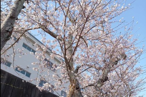 中学校　浜松市立江西中学校（中学校）まで232m
