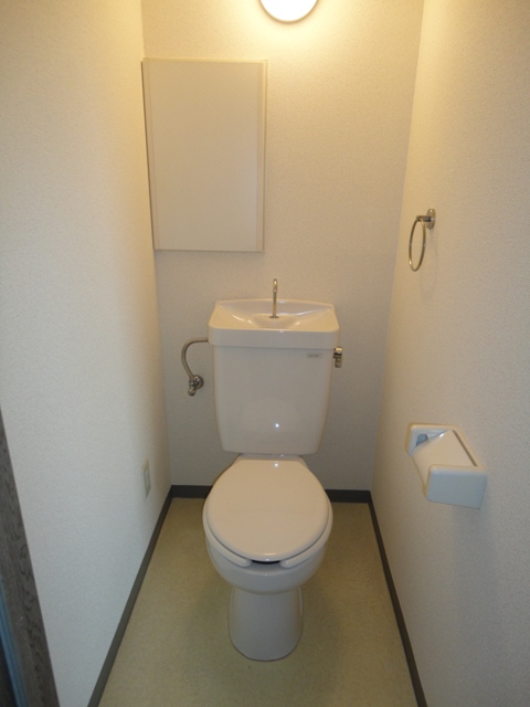 ビリアベルデのトイレ写真