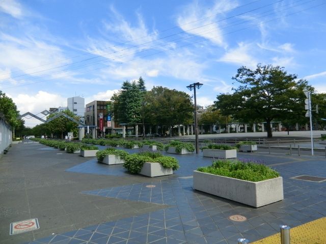 公園　都立綾瀬公園（公園）まで1100m