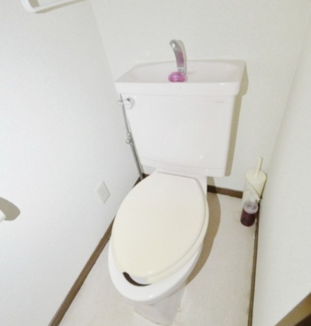 ハイメゾン橋本IIのトイレ写真