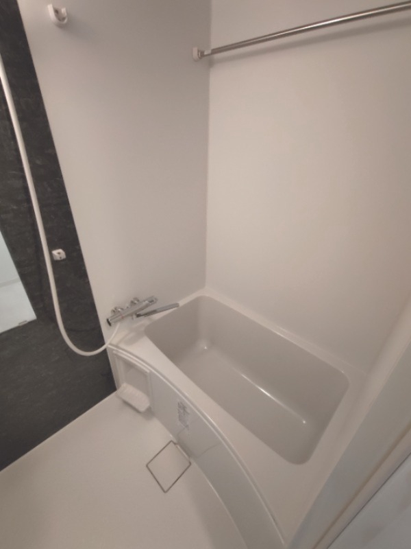 S-RESIDENCE堺blazeの風呂写真