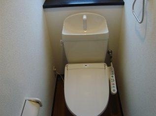 ＪＲ総武本線 飯岡駅 徒歩10分 2階建 築17年のトイレ写真