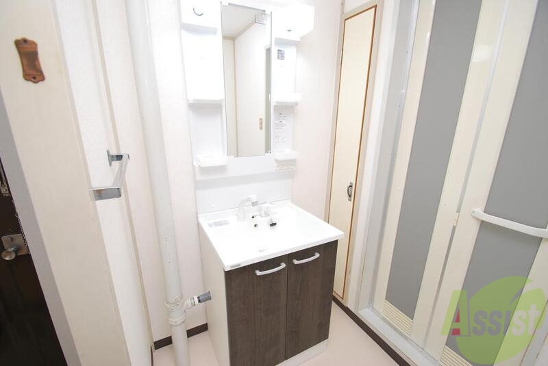 洗面設備　女性に嬉しいシャンプードレッサー、朝のメイクもバッチリですね