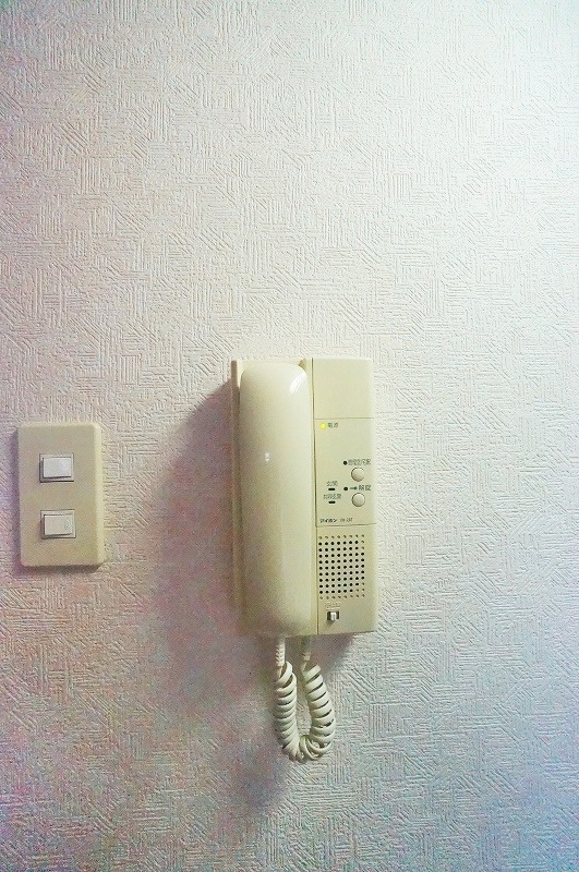 セキュリティ　同型イメージ