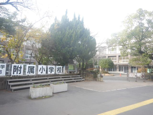 小学校　国立鹿児島大学教育学部附属小学校（小学校）まで1069m