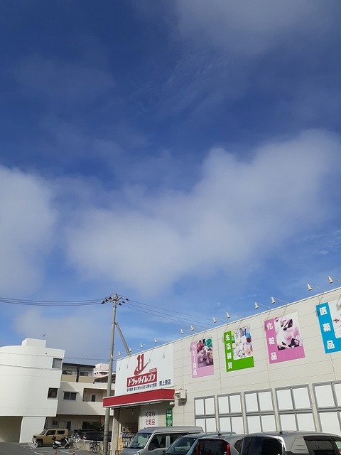 ドラックストア　ドラッグイレブン 南上原店（ドラッグストア）まで600m