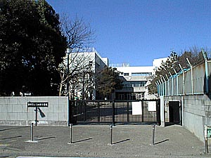 小学校　飛田給小学校（小学校）まで705m