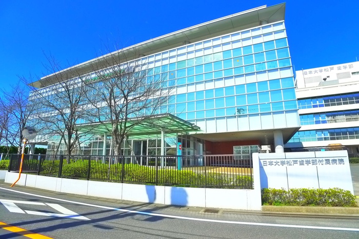 大学・短大　日本大学松戸歯学部（大学・短大）まで1150m